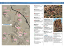 Joshua Tree Rock Climbs
