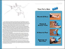Climbing Injuries Solved