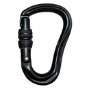 Blaze Screw Gate Carabiner Black