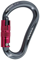Atom 2Lock HMS