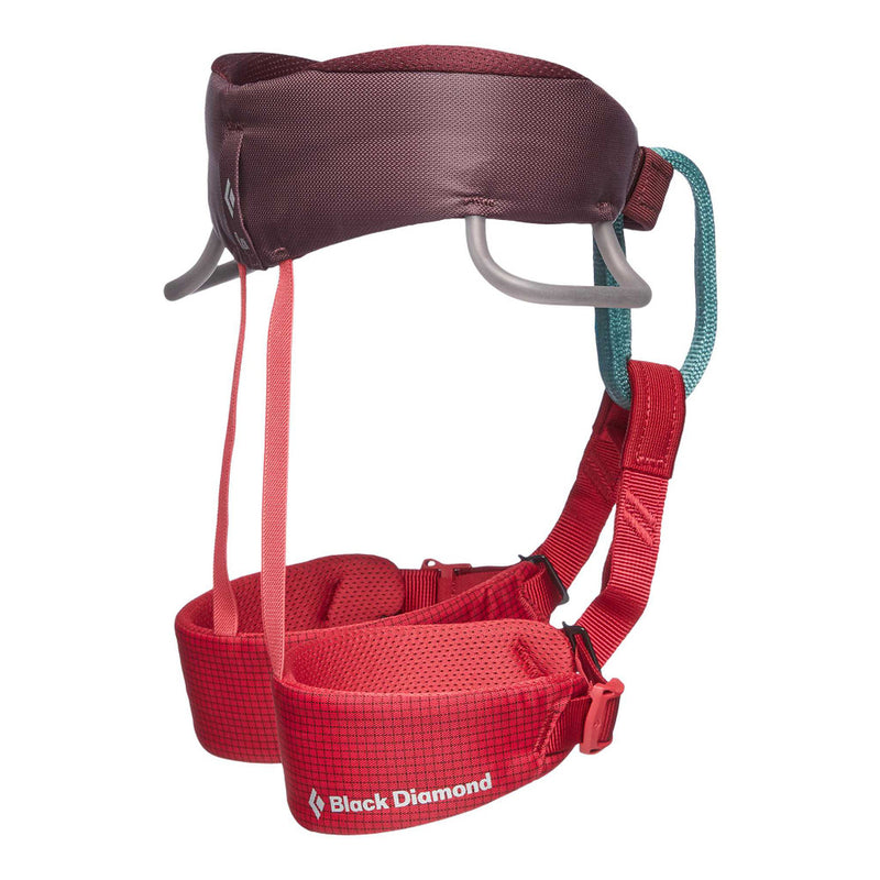 Momentum Harness - Kids