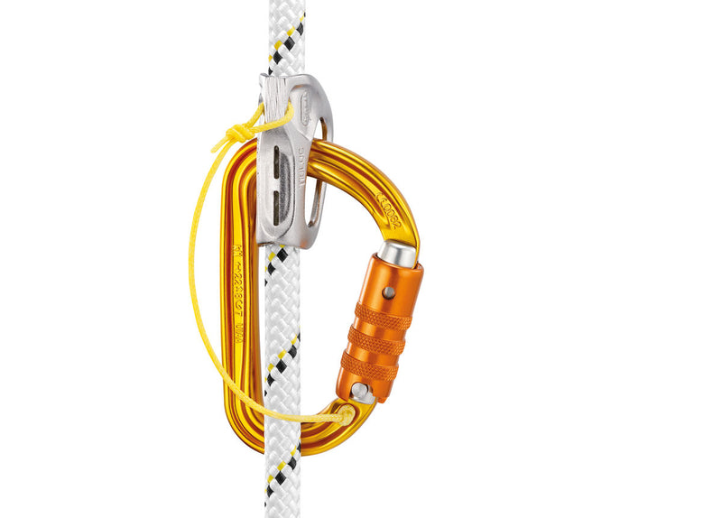 Sm'D Triact-Lock Carabiner