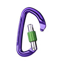 Session Screw Gate Locking Carabiner