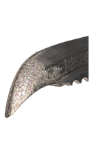 PAN77(F)WI Pick for Krukonogi