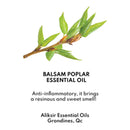 Appalaches Appalaches V9 Hands Balm - ingredients peuplier