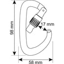 CAMP Orbit Lock Carabiner - drw