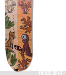 Stone Forest Splitboard & Stony Skins