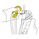 Petzl Rollclip Z Triact-Lock Carabiner - p75 focus lowres