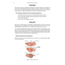 Sharp End Publishing The Physiology of Climbing - physio p14