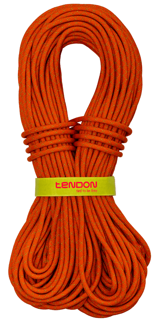 Climbing Twin Ropes