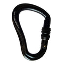 Blaze Screw Gate Carabiner Black