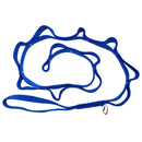 Daisy Chain (past season)