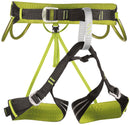 Alpine Flash Harness