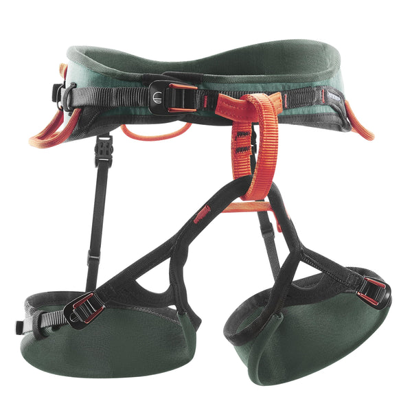 Session Mens Harness
