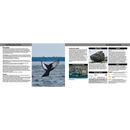 Bouldering Digby Neck