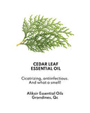 Appalaches V9 Hands Balm