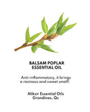 Appalaches V9 Hands Balm