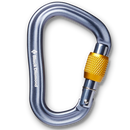 Vaporlock Screwgate Carabiner