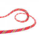 Tiger 10mm Unicore Golden Dry 60m Rope